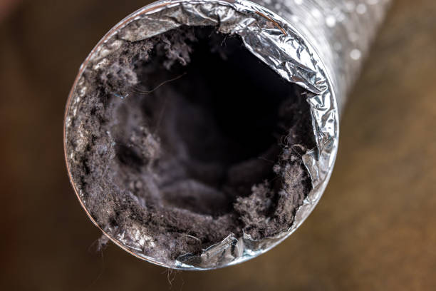 Best Professional Duct Cleaning Services  in Fifth Street, TX