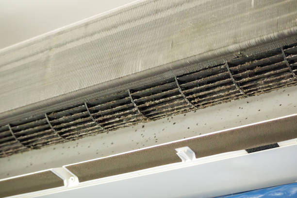 Best Air Duct Mold Removal  in Fifth Street, TX